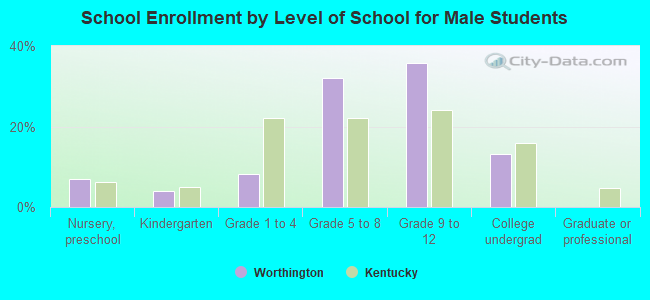 School Enrollment by Level of School for Male Students