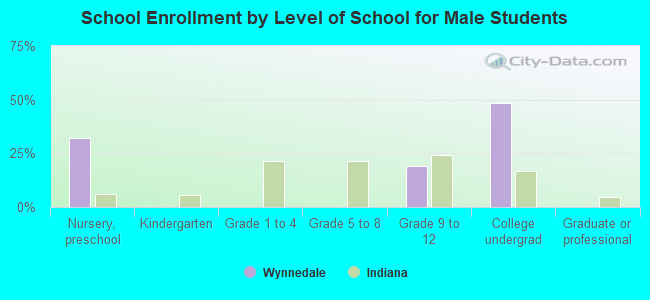 School Enrollment by Level of School for Male Students