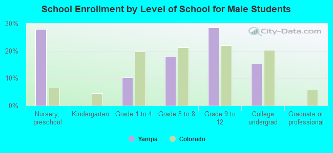 School Enrollment by Level of School for Male Students