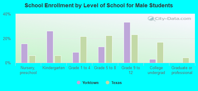 School Enrollment by Level of School for Male Students