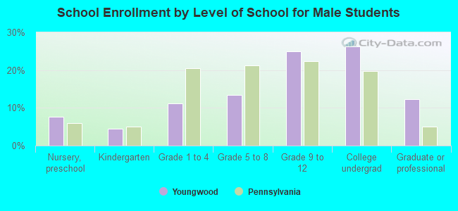 School Enrollment by Level of School for Male Students