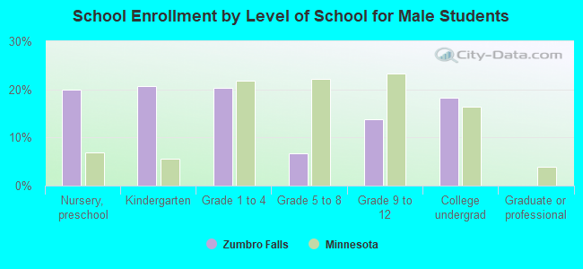 School Enrollment by Level of School for Male Students