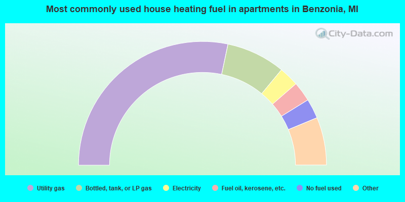 Most commonly used house heating fuel in apartments in Benzonia, MI