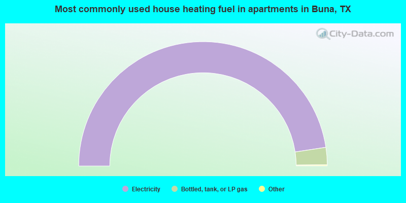 Most commonly used house heating fuel in apartments in Buna, TX