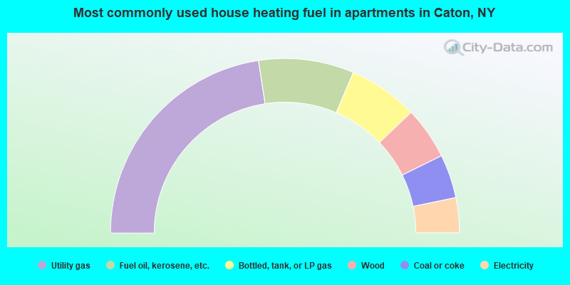 Most commonly used house heating fuel in apartments in Caton, NY