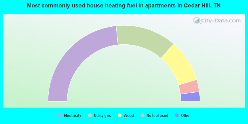 Most commonly used house heating fuel in apartments in Cedar Hill, TN