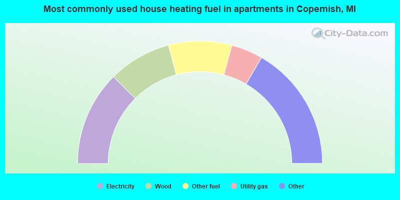 Most commonly used house heating fuel in apartments in Copemish, MI