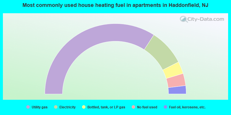 Most commonly used house heating fuel in apartments in Haddonfield, NJ