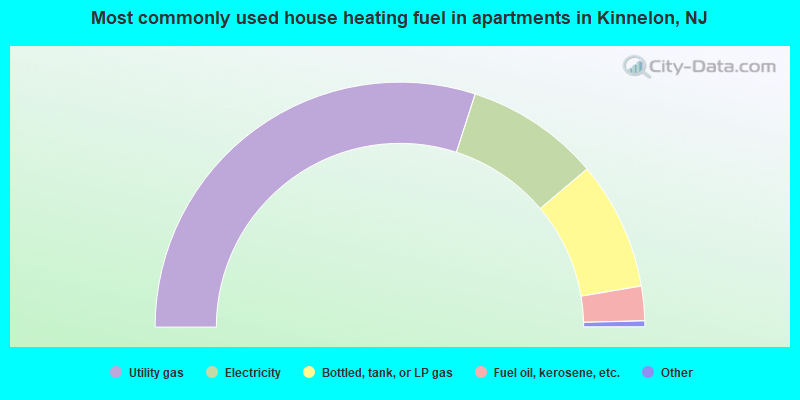 Most commonly used house heating fuel in apartments in Kinnelon, NJ