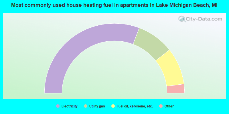 Most commonly used house heating fuel in apartments in Lake Michigan Beach, MI