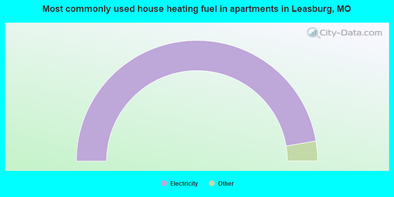 Most commonly used house heating fuel in apartments in Leasburg, MO