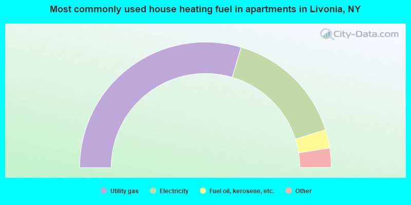 Most commonly used house heating fuel in apartments in Livonia, NY