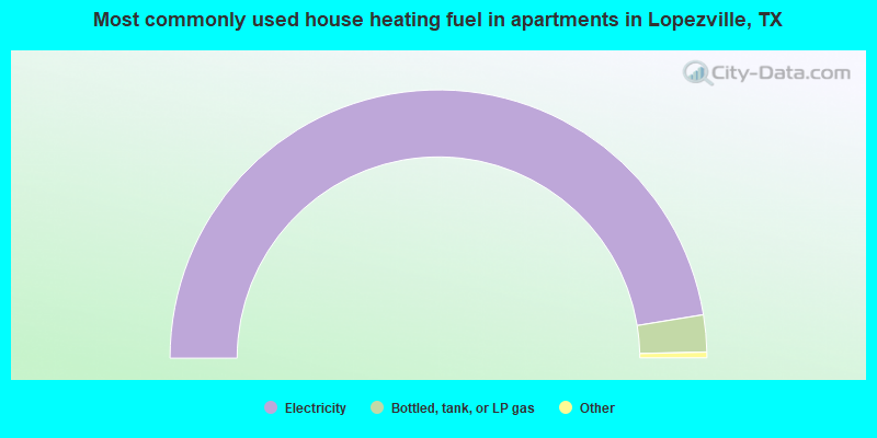 Most commonly used house heating fuel in apartments in Lopezville, TX