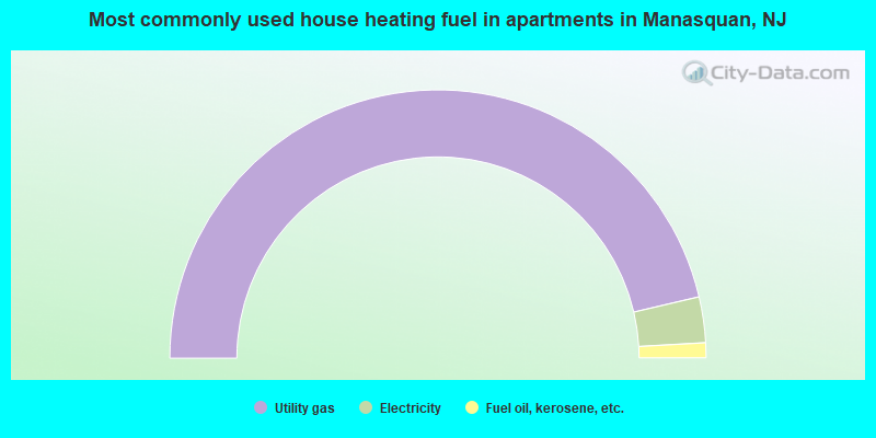 Most commonly used house heating fuel in apartments in Manasquan, NJ