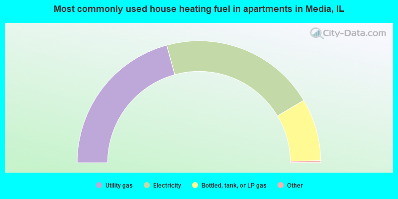 Most commonly used house heating fuel in apartments in Media, IL