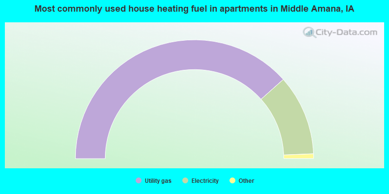 Most commonly used house heating fuel in apartments in Middle Amana, IA