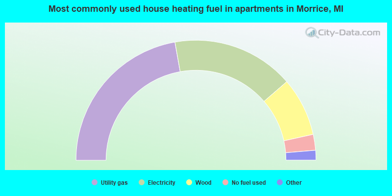 Most commonly used house heating fuel in apartments in Morrice, MI