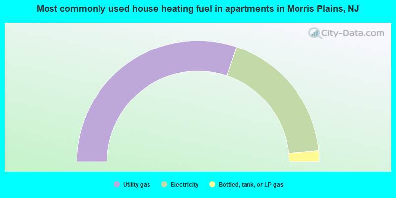 Most commonly used house heating fuel in apartments in Morris Plains, NJ