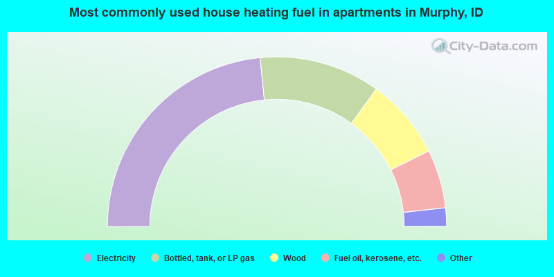 Most commonly used house heating fuel in apartments in Murphy, ID