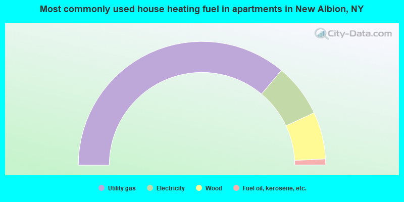 Most commonly used house heating fuel in apartments in New Albion, NY