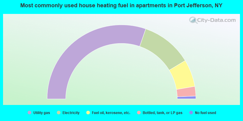 Most commonly used house heating fuel in apartments in Port Jefferson, NY