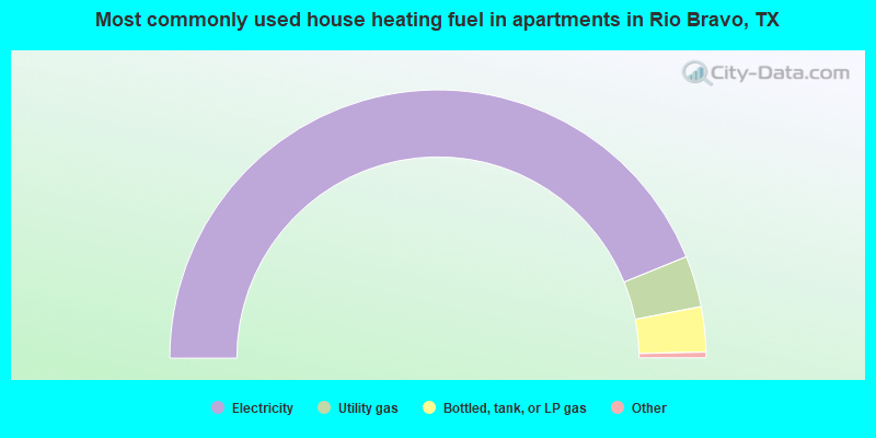 Most commonly used house heating fuel in apartments in Rio Bravo, TX