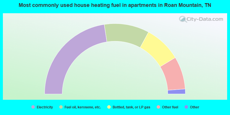Most commonly used house heating fuel in apartments in Roan Mountain, TN