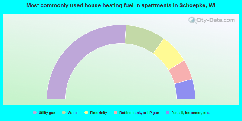 Most commonly used house heating fuel in apartments in Schoepke, WI