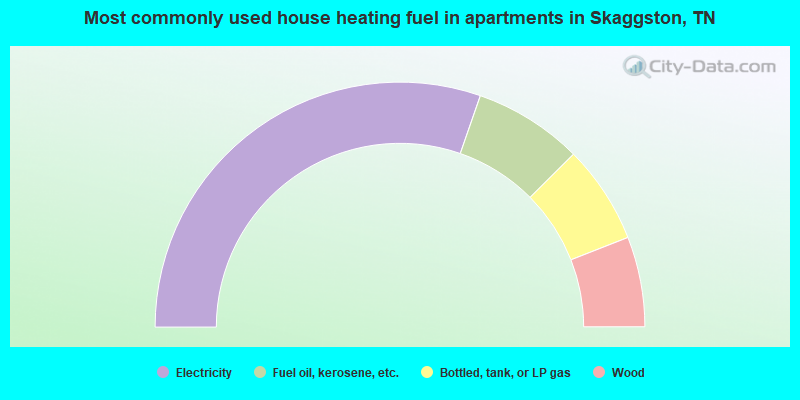 Most commonly used house heating fuel in apartments in Skaggston, TN