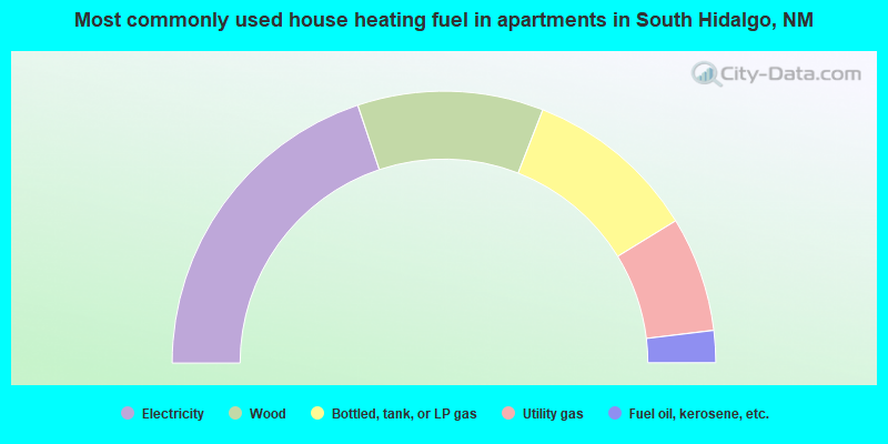 Most commonly used house heating fuel in apartments in South Hidalgo, NM