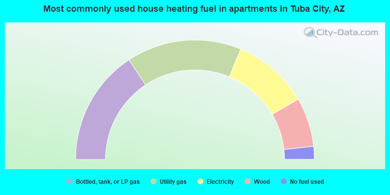 Most commonly used house heating fuel in apartments in Tuba City, AZ