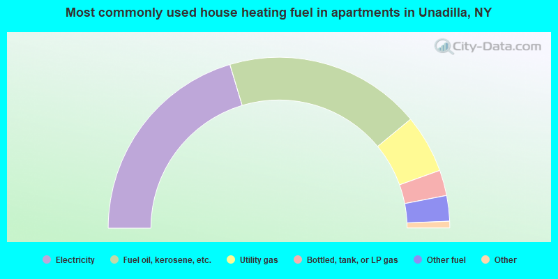 Most commonly used house heating fuel in apartments in Unadilla, NY