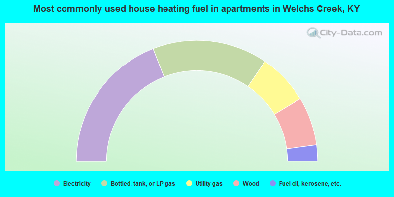 Most commonly used house heating fuel in apartments in Welchs Creek, KY