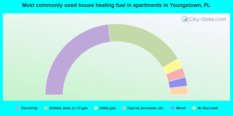 Most commonly used house heating fuel in apartments in Youngstown, FL