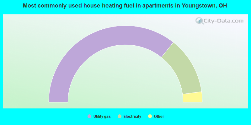 Most commonly used house heating fuel in apartments in Youngstown, OH