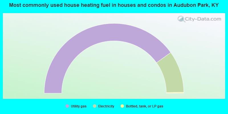 Most commonly used house heating fuel in houses and condos in Audubon Park, KY