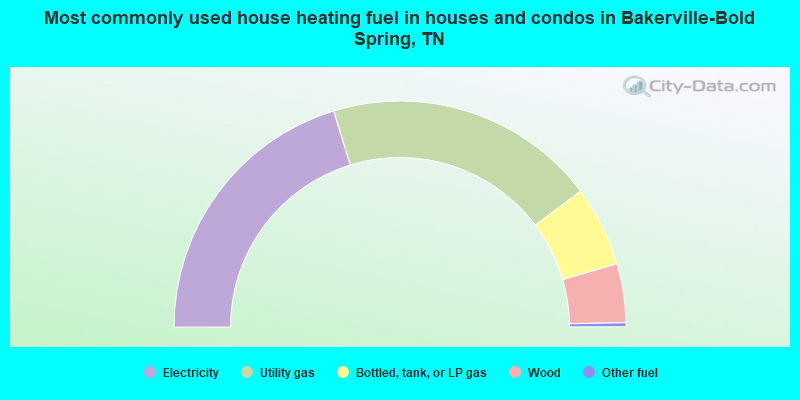 Most commonly used house heating fuel in houses and condos in Bakerville-Bold Spring, TN