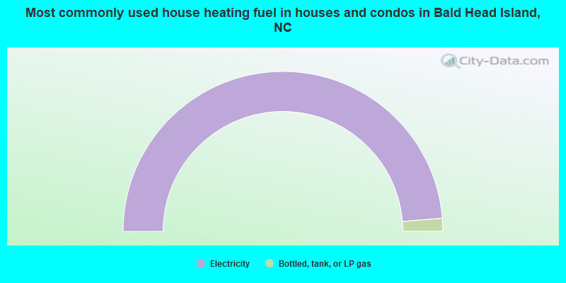 Most commonly used house heating fuel in houses and condos in Bald Head Island, NC