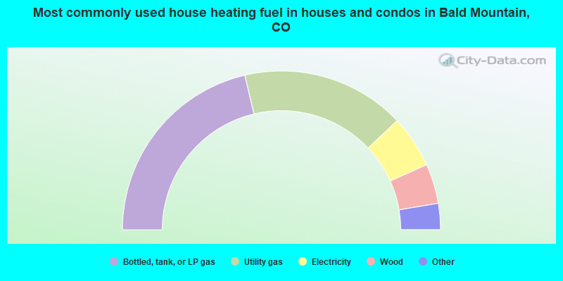 Most commonly used house heating fuel in houses and condos in Bald Mountain, CO
