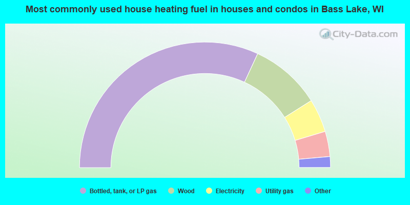 Most commonly used house heating fuel in houses and condos in Bass Lake, WI