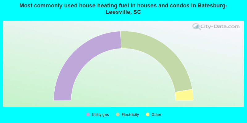 Most commonly used house heating fuel in houses and condos in Batesburg-Leesville, SC
