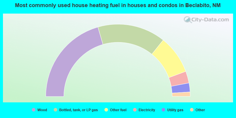 Most commonly used house heating fuel in houses and condos in Beclabito, NM