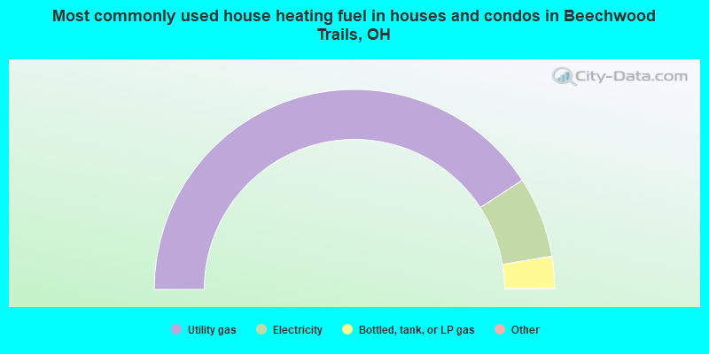 Most commonly used house heating fuel in houses and condos in Beechwood Trails, OH