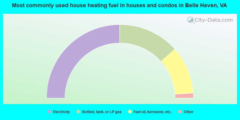 Most commonly used house heating fuel in houses and condos in Belle Haven, VA