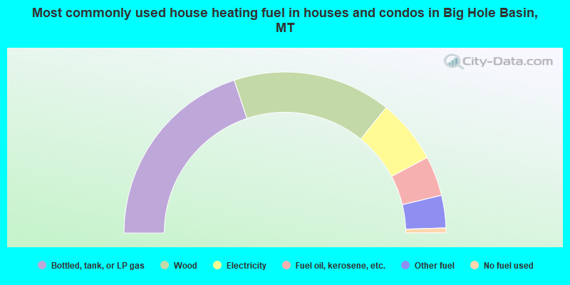 Most commonly used house heating fuel in houses and condos in Big Hole Basin, MT