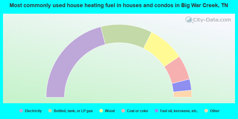 Most commonly used house heating fuel in houses and condos in Big War Creek, TN