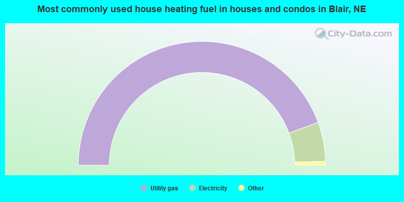 Most commonly used house heating fuel in houses and condos in Blair, NE