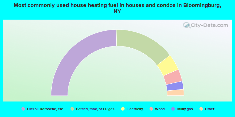 Most commonly used house heating fuel in houses and condos in Bloomingburg, NY
