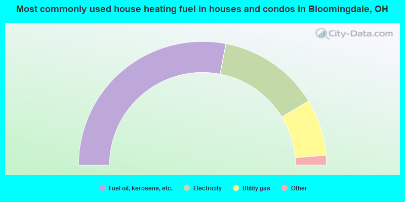 Most commonly used house heating fuel in houses and condos in Bloomingdale, OH