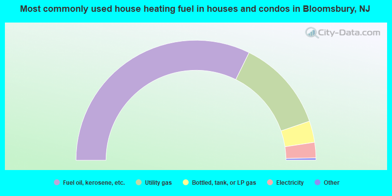 Most commonly used house heating fuel in houses and condos in Bloomsbury, NJ